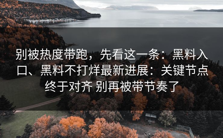 别被热度带跑，先看这一条：黑料入口、黑料不打烊最新进展：关键节点终于对齐 别再被带节奏了