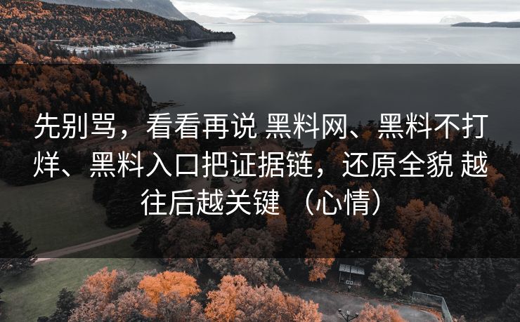 先别骂，看看再说 黑料网、黑料不打烊、黑料入口把证据链，还原全貌 越往后越关键 （心情）