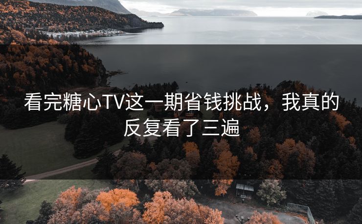 看完糖心TV这一期省钱挑战，我真的反复看了三遍