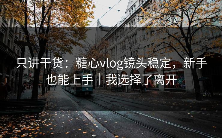 只讲干货：糖心vlog镜头稳定，新手也能上手｜我选择了离开
