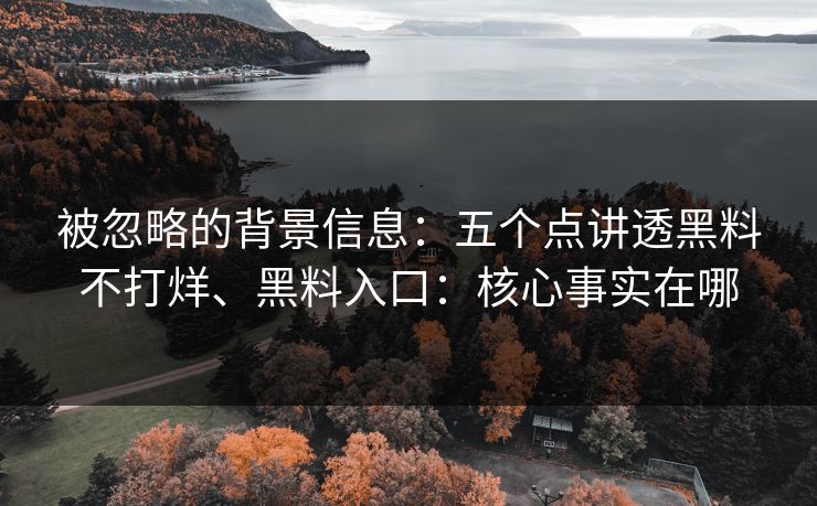 被忽略的背景信息：五个点讲透黑料不打烊、黑料入口：核心事实在哪