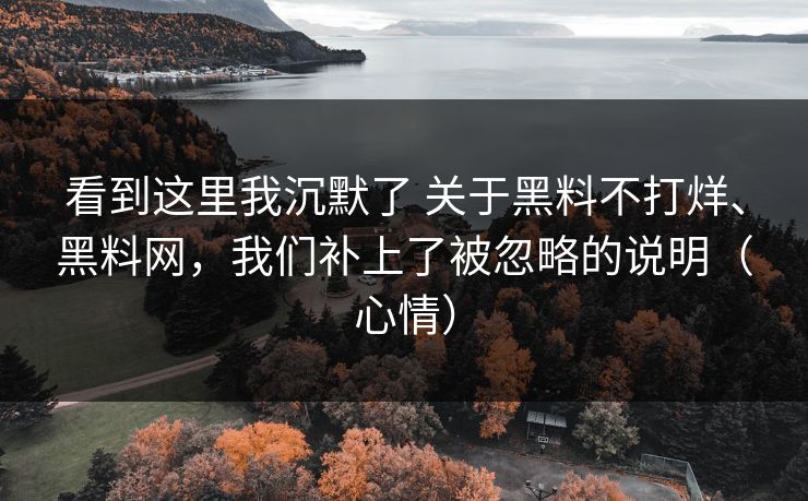 看到这里我沉默了 关于黑料不打烊、黑料网，我们补上了被忽略的说明（心情）
