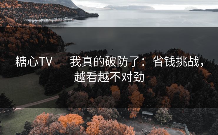 糖心TV ｜ 我真的破防了：省钱挑战，越看越不对劲