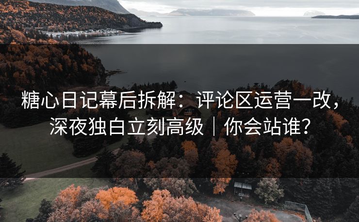 糖心日记幕后拆解：评论区运营一改，深夜独白立刻高级｜你会站谁？